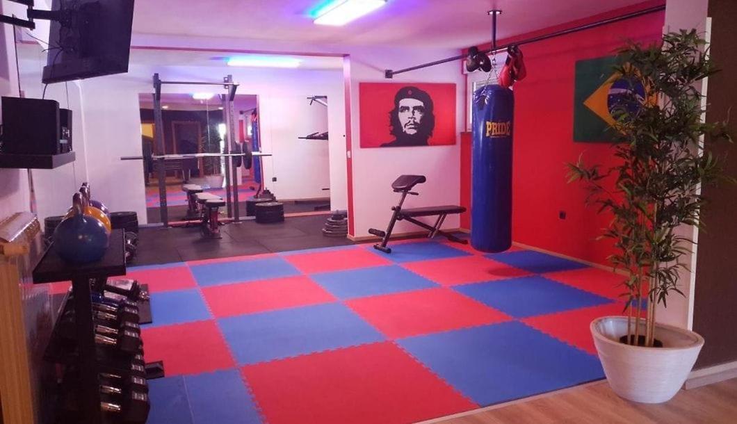 Vila Filip - Private Pool & Gym